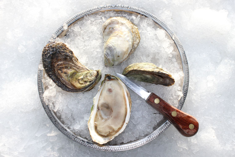 Wild Falmouth Oyster — Oysterology Online Pangea Shellfish Company